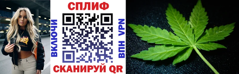Купить  Лангепас  Бошки Шишки ГИДРОПОН 