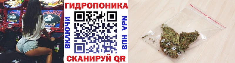 Канабис семена Лангепас